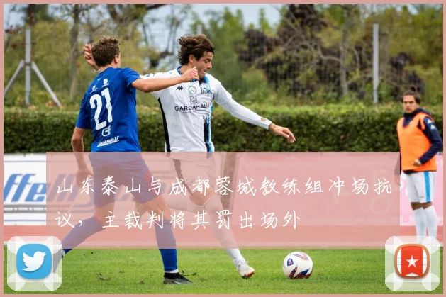 山东泰山与成都蓉城教练组冲场抗议,主裁判将其罚出场外